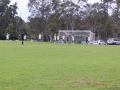 Arcadia Park used by Hills Hawks Soccer & cricket 2014 (1024x683)